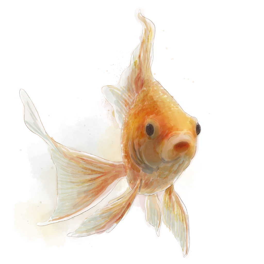 Illustration eines orangenen Fisches